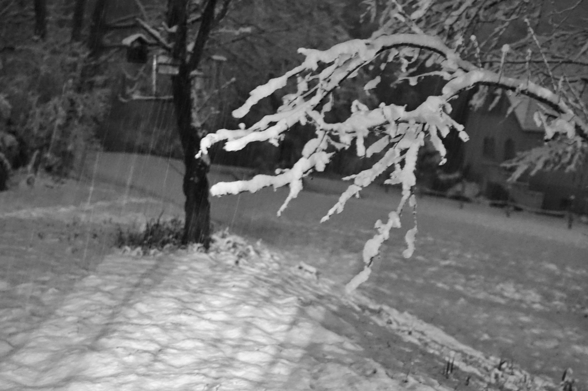 DSC00769 neige nocturne